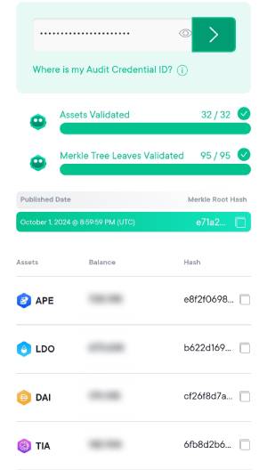 Account-Balance-Verification.jpg